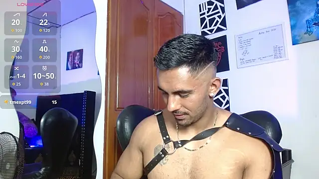 Вебкам-шоу romanpearce_