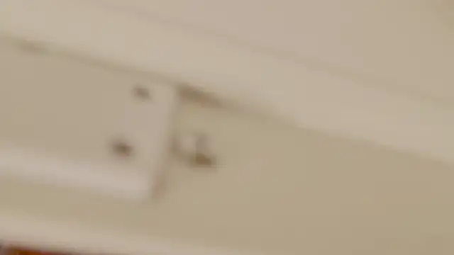 แชท XXX สดของ Talulaa