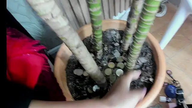 LesliePetit's Live XXX Chat