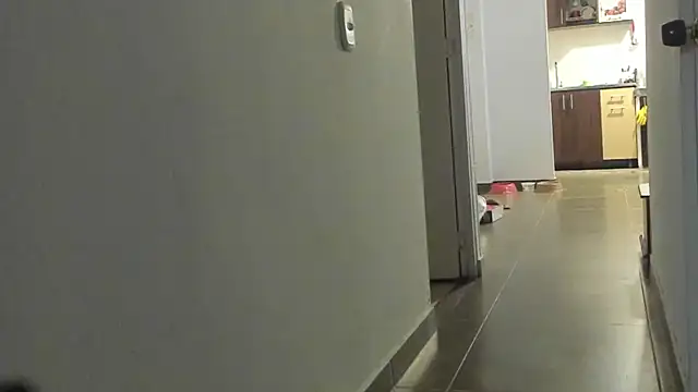 Evaaross_2345 Obrolan Langsung XXX