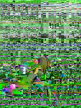 عرض كام speddy34