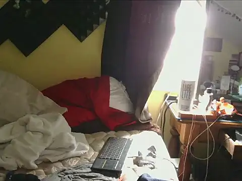 Chatroom XXX en direct de NatashaCox