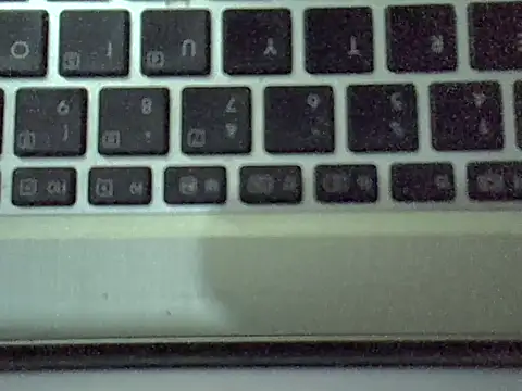 Delicious-D Show Webcam