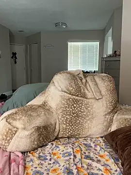 Chat XXX Live SafeinouterSpace