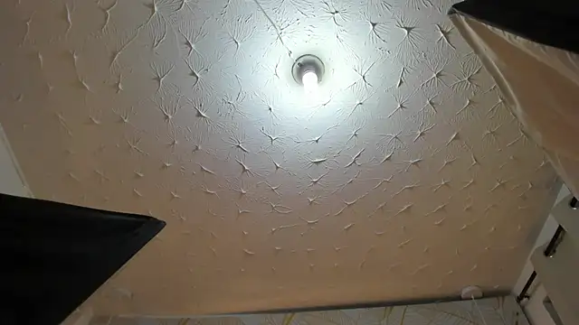 Alison_Chan_ Adlı Modelin Web Kamerası Şovu