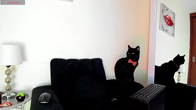 Chat XXX en directo de its__angelica_