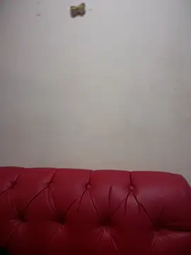 NovaFoxx Live XXX-chat