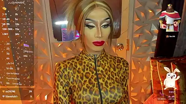 عرض كام anitacruise