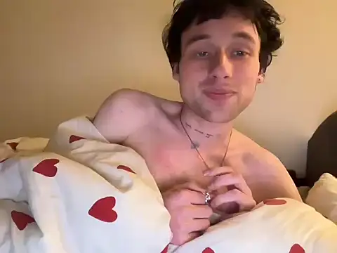DavidFlipU2000 Webcam-Show