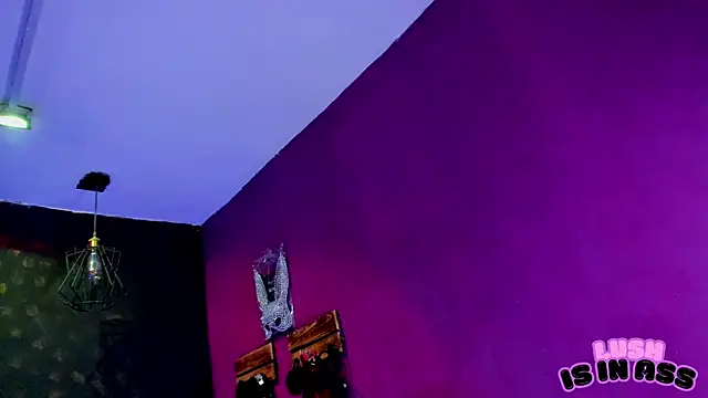 Alexa_Slave 现场XXX聊天