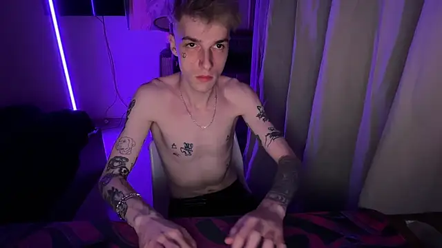 davesinnern Webbikameraesitys