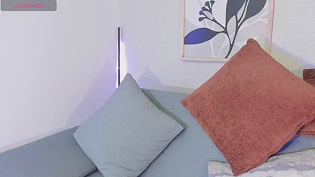 KassMonroen Webbikameraesitys