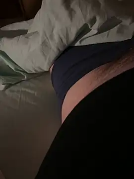 Show webcam de D4n13l47