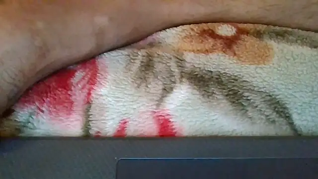 Show de fifo9000 na webcam