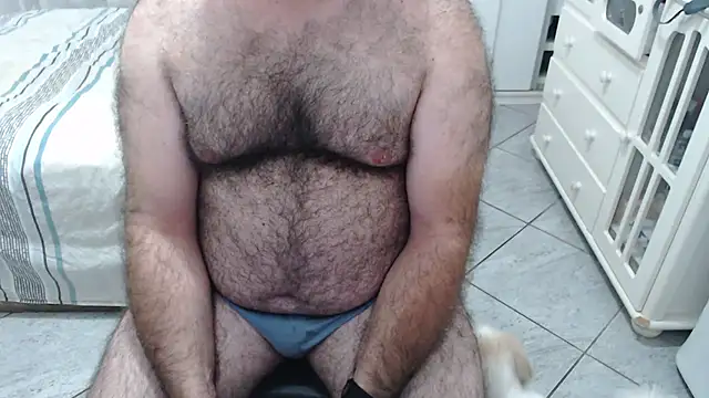 MysterBearMG Chat XXX in diretta