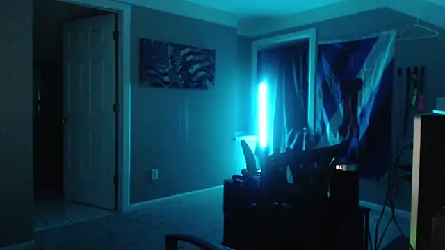 Michigan9000 webcam show