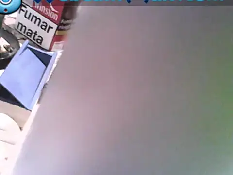 Show Webcam de Fundy37