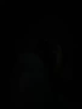 Chat XXX Live royalgirls_x