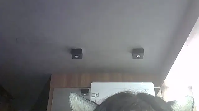 Show de SkinnyKitten na webcam