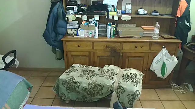 Show Webcam de cdjenny77