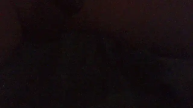 pietje1991 Webcamshow