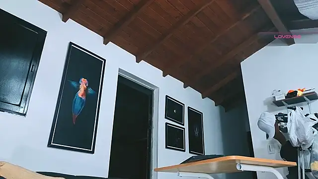 SilvaBranko's Webcam Show