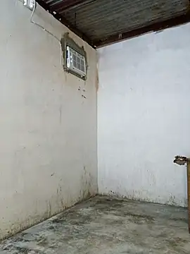 Tequilamaster Show Webcam