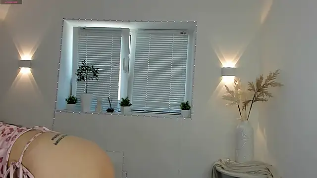 Chat XXX ao vivo de vannibellee