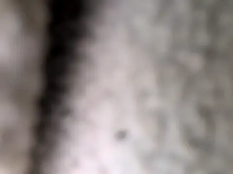treyneznasty@xh's Webcam Show