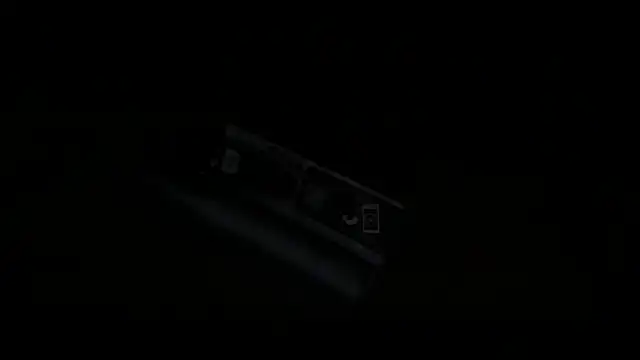 falacomigobbzin Webcam show