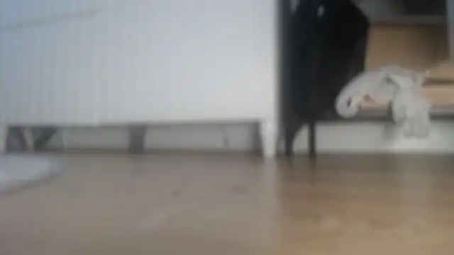 play_with_my_balls Webcam-Show