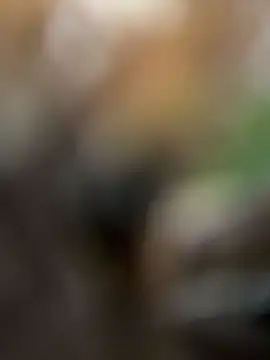 KishaMur Chat XXX live
