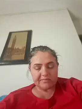 Sony28v Webcam show