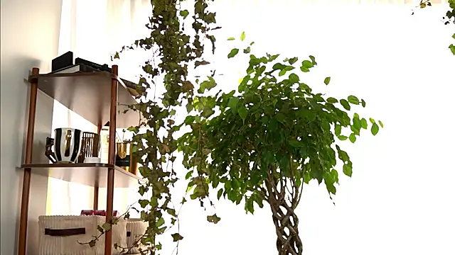 Show de webcam de TheMaddisonShow_
