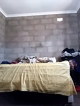 vicomake Show Webcam