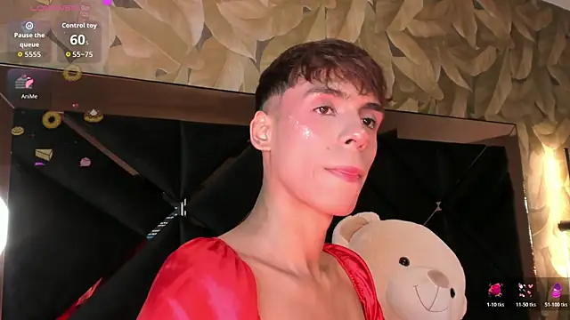 KaelSoft_ Webcam-Show