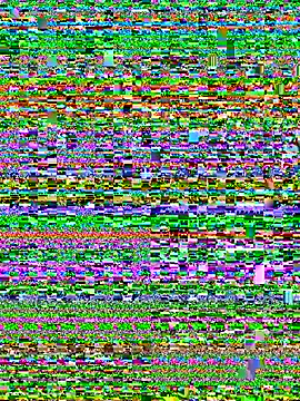Chat XXX Live BarbaraXoXoX