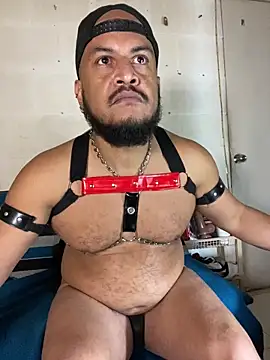 the_master_foal_ webcam show