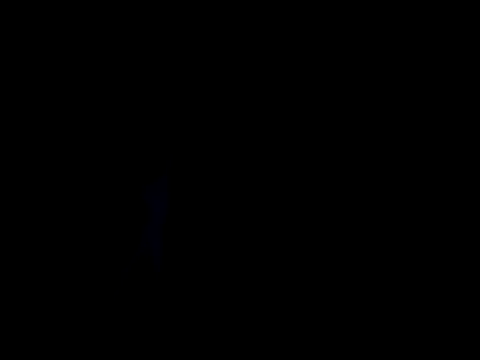 Blkstylion élő XXX-chatje