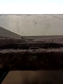 Show Webcam de ipvk