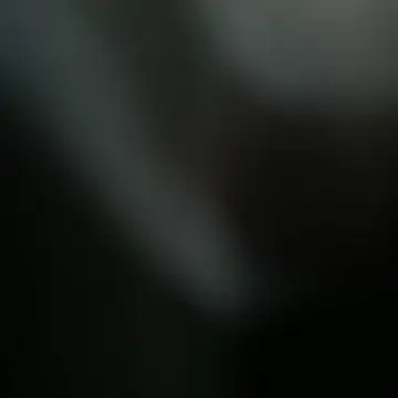 topman_____n Webbikameraesitys
