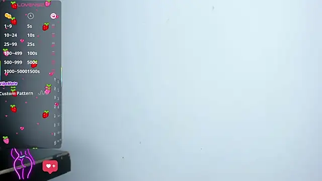 Ninna_Vergaran Webbikameraesitys