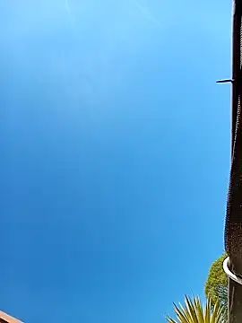 PaarEmsland élő XXX-chatje