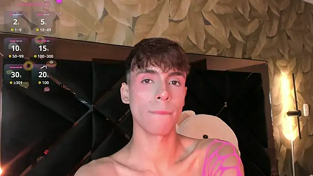 KaelSoft_ Show Webcam