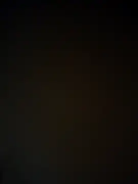 SLLifeAction 网络视讯表演