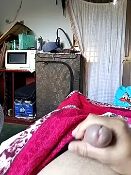 Show de Edsondsos na webcam