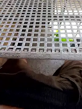 Chat +18 de SO-UNICO ao vivo