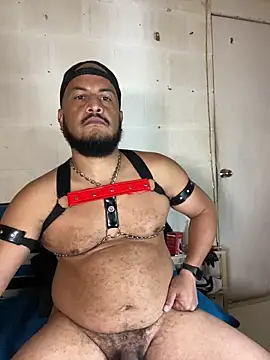 Show de the_master_foal_ na webcam
