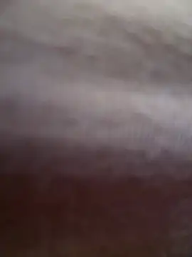 didihairypussy's Webcam Show