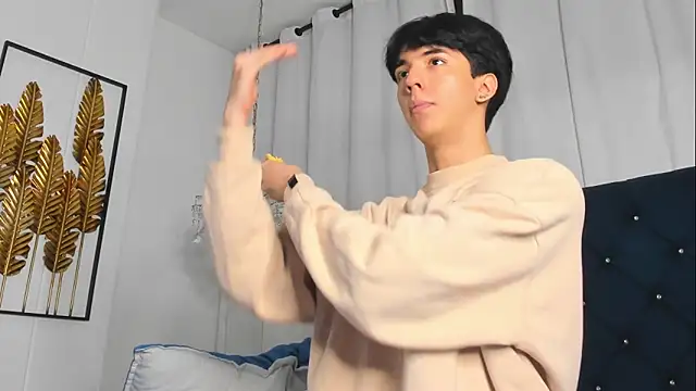 Show webcam de AerumChae